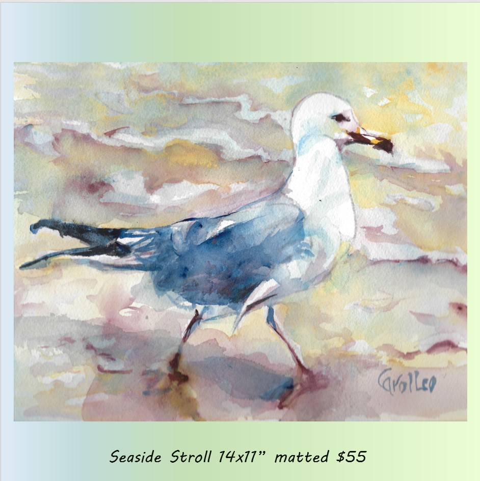 Sea Gull Strutting