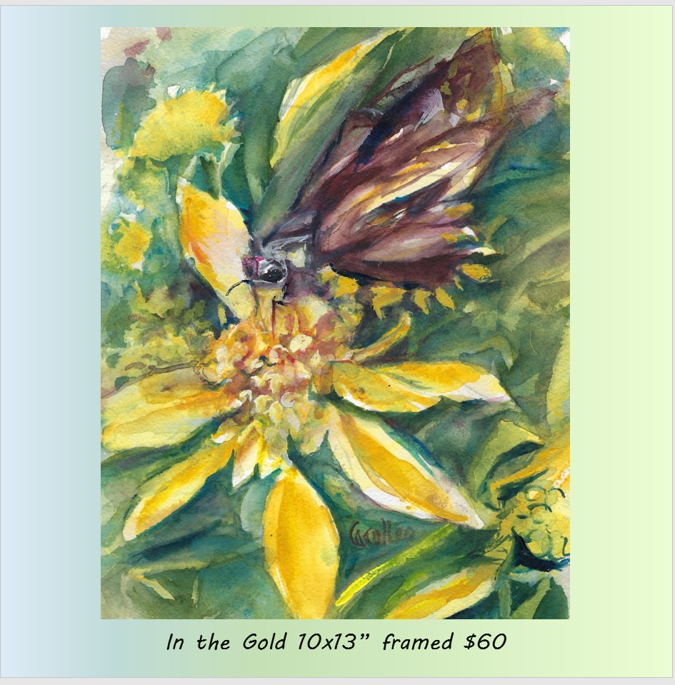 Brown Moth on Yellow Flower