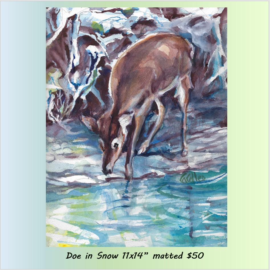 Doe in Snow